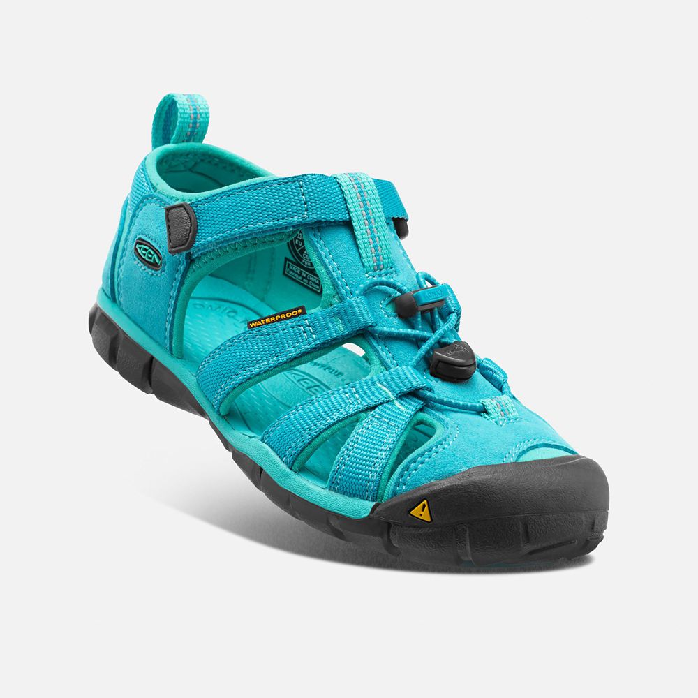 Sandalias Keen Mexico Azules - Niños Seacamp Ii Cnx - GH4531987